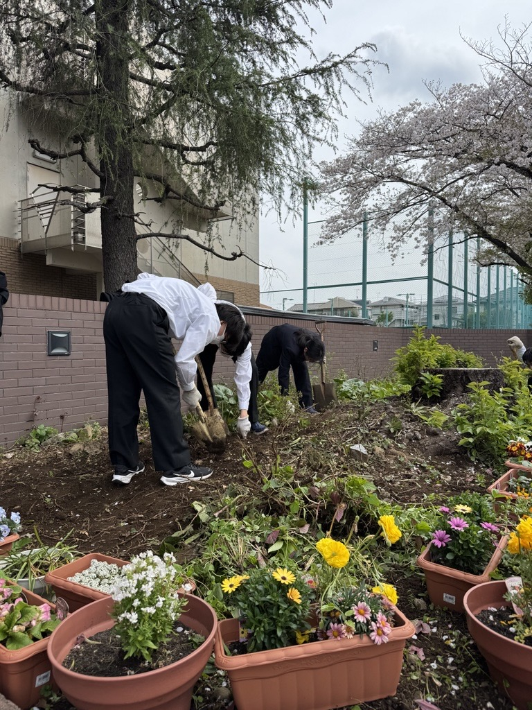 Image - 2026-04-08T195648.809